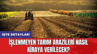 İşlenmeyen tarım arazileri nasıl kiraya verilecek? 10 soru cevap