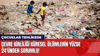 Çevre kirliliği küresel ölümlerin yüzde 24'ünden sorumlu!