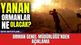 Yanan ormanlar ne olacak? Bakanlıktan açıklama