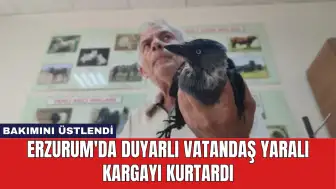 Erzurum'da Duyarlı Vatandaş Yaralı Kargayı Kurtardı