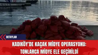 Kadıköy'de Kaçak Midye Operasyonu: Tonlarca Midye Ele Geçirildi