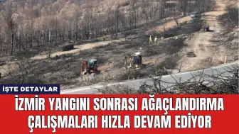 İzmir'de Yangın Sonrası Ağaçlandırma Çalışmaları Hızla Devam Ediyor