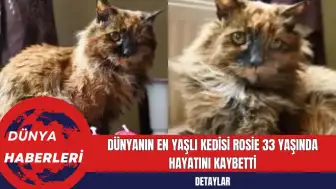 Dünyanın En Yaşlı Kedisi Rosie 33 Yaşında Hayatını Kaybetti