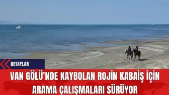 Van Gölü'nde Kaybolan Rojin Kabaiş İçin Arama Çalışmaları Sürüyor