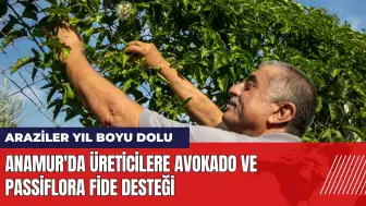 Anamur'da üreticilere avokado ve passiflora fide desteği