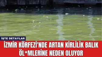 İzmir Körfezi'nde Artan Kirlilik Balık Öl*mlerine Neden Oluyor