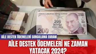 Aile Destek Ödemeleri Ne Zaman Yatacak 2024? Aile Destek Ödemeleri Sorgulama Ekranı