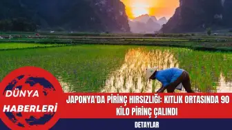 Japonya'da Pirinç Hırsızlığı: Kıtlık Ortasında 90 Kilo Pirinç Çalındı