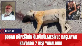 Çoban Köpeğinin Öldürülmesiyle Başlayan Kavgada 7 Kişi Yaralandı