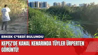 Kepez'de kanal kenarında tüyler ürperten görüntü!