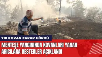 Menteşe yangınında kovanları yanan arıcılara destekler açıklandı