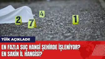 TÜİK açıkladı! En fazla suç hangi şehirde işleniyor?