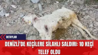 Denizli'de Keçilere Silahlı Saldırı: 10 Keçi Telef Oldu