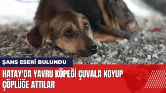 Hatay'da yavru köpeği çuvala koyup çöplüğe attılar