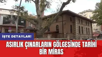 Asırlık çınarların gölgesinde tarihi bir miras