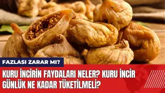 Kuru incirin faydaları neler? Kuru incir günlük ne kadar tüketilmeli?