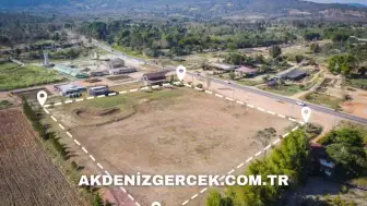 Balıkesir Ayvalık'ta mahkemeden satılık 8.421 m² tarla