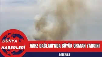 Harz Dağları'nda Büyük Orman Yangını