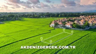 Düzce Merkez'de icradan satılık 1.966 m² arsa