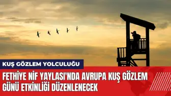 Fethiye Nif Yaylası'nda Avrupa Kuş Gözlem Günü etkinliği