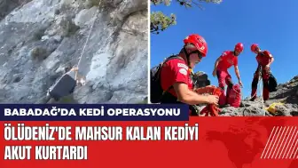 Ölüdeniz'deki sarp kayalıklarda mahsur kalan kediyi AKUT kurtardı