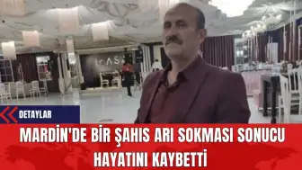 Mardin'de Bir Şahıs Arı Sokması Sonucu Hayatını Kaybetti