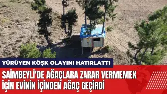 Saimbeyli'de ağaçlara zarar vermemek için evinin içinden ağaç geçirdi