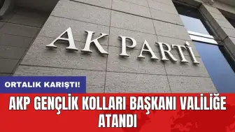 AKP Gençlik Kolları Başkanı valiliğe atandı