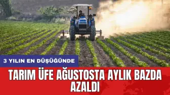 Tarım ÜFE ağustosta aylık bazda azaldı