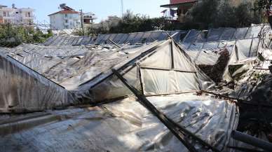 Dolu yağışı seraları devirdi