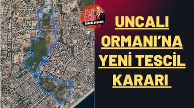 Uncalı Ormanı’na  yeni tescil kararı