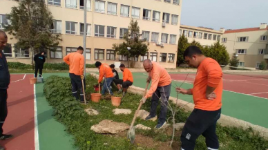 Tüm okul bahçelerine meyve ağacı dikildi