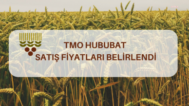 TOPRAK MAHSULLERİ OFİSİ ÇİFTÇİDEN ALACAĞI HUBUBATIN SATIŞ FİYATINI AÇIKLADI