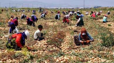 MEVSİMLİK TARIM İŞÇİSİ ÇOCUK VE GENÇLER HAYALLERİNDEN UZAKTA