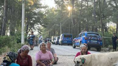 “KESİM MOTORLARI İLE AKBELEN ORMANI’NA GİRİLDİ. VE ÇAMLARI KESMEYE BAŞLADILAR”