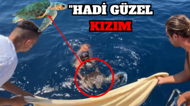 TEKNE KAPTANI CARETTA CARETTAYI ÖZGÜR BIRAKTI