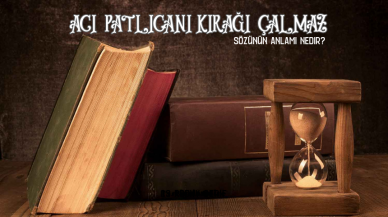 Acı patlıcanı kırağı çalmaz sözünün ilginç anlamı