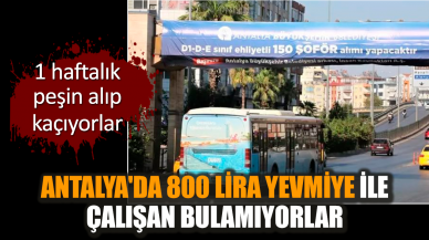 Antalya'da 800 lira yevmiye ile çalışan bulamıyorlar