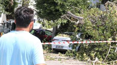 Çınar ağacının dalı 5 aracın üzerine düştü