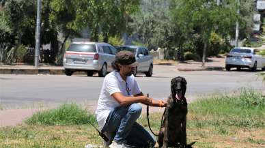 KÖPEK KAÇTI YETKİLİLER SEFERBER OLDU