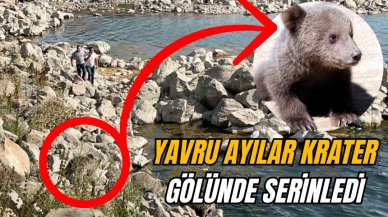 YAVRU AYILAR SERİNLEMEK İÇİN ÇAREYİ NEMRUT'TA BULDU