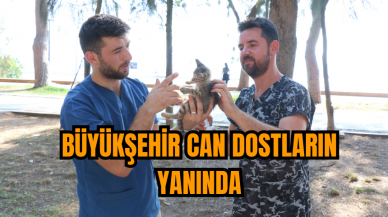 Büyükşehir can dostların yanında