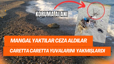 Caretta caretta yuvalarında mangal yaktılar ceza aldılar