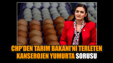 CHP’den Tarım Bakanı’nı terleten kanserojen yumurta sorusu