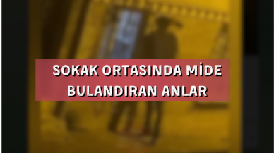 ŞOK EDEN SAPIKLIĞIN GÖRÜNTÜLERİ ORTAYA ÇIKTI