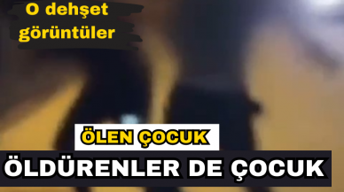 Güvercin için parke taşıyla öldürdüler! İşte o anlar