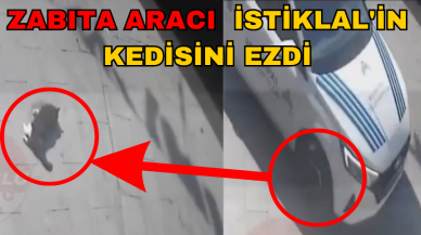 İstikal'in maskot kedisini zabıta aracı ezdi