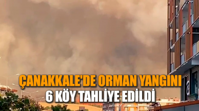 Çanakkale'de orman yangını: 6 köy tahliye edildi