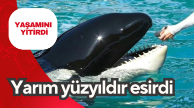 Yarım yüzyıldır esirdi, yaşamını yitirdi