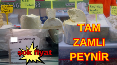 TAM ZAMLI PEYNİR